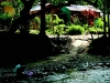 proyecto-formacion-ecoturismo-rio-jacagua-16