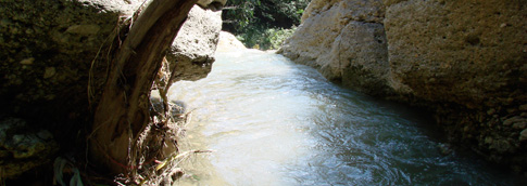riojacagua-saltadero